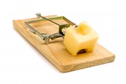 mousetrap2