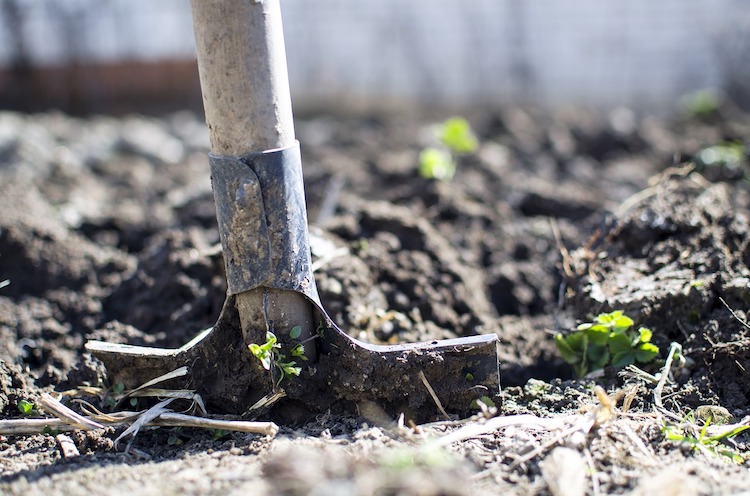 digging with shovel