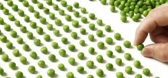 perfectionism peas