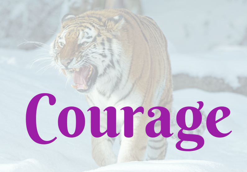 Have Courage (1) NEWSLETTER
